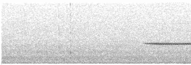 Turuncu Ardıç - ML616907698