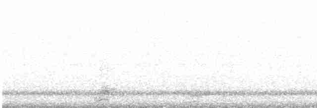 Black-crowned Night Heron - ML616908240