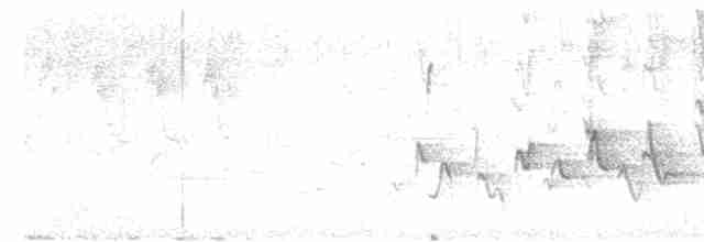 Hawaii-Sichelkleidervogel - ML616911134