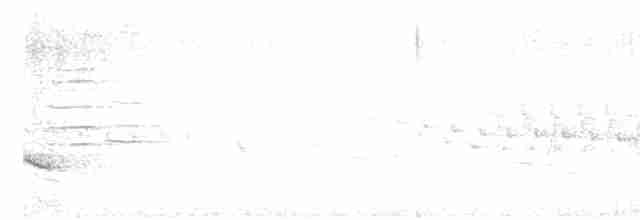 Iiwikleidervogel - ML616911306