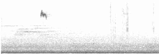 Гаїчка рудоспинна - ML616911323