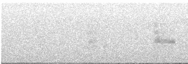 Loggerhead Shrike - ML616913437