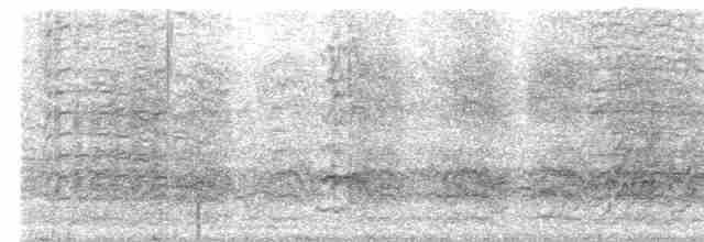 Длинноклювая которра - ML616914475