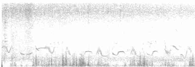 Кактусовый пересмешник - ML616917697