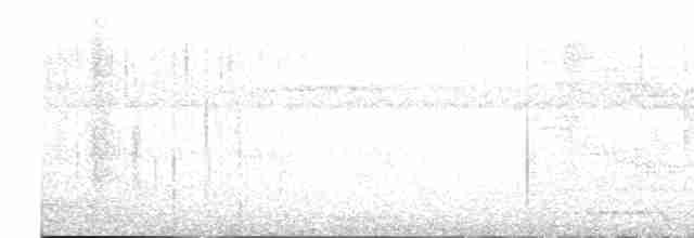 Тиранчик-мухолюб вохристий - ML616918443