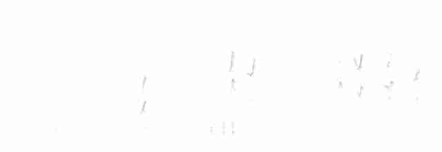 Деревенская ласточка (erythrogaster) - ML616918615