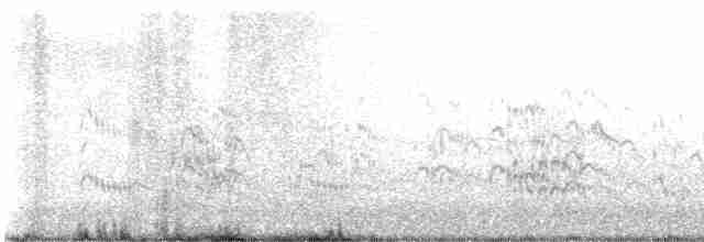 Royal Tern - ML616922028