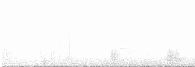 Малая морская чернеть - ML616922777