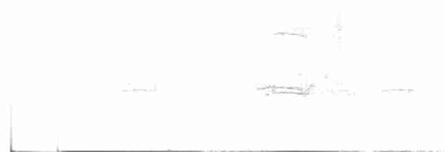 Graumantel-Brillenvogel - ML616923774