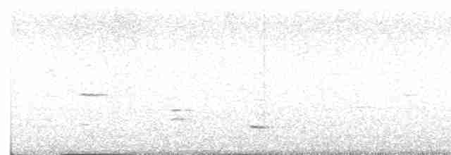 Méliphage carillonneur - ML616925609