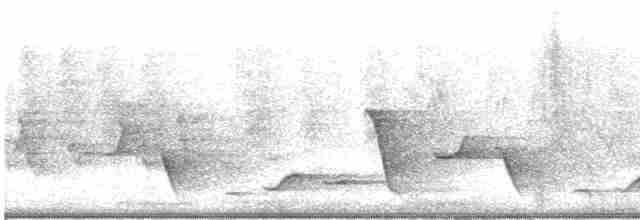 Black-tailed Whistler - ML616926969