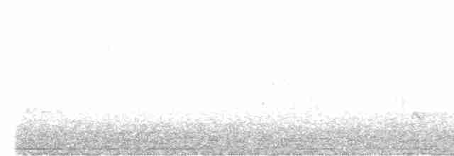 Amilotx urdina - ML616927076