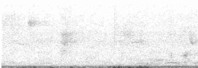Sürmeli Kervançulluğu (variegatus/rogachevae) - ML616927110