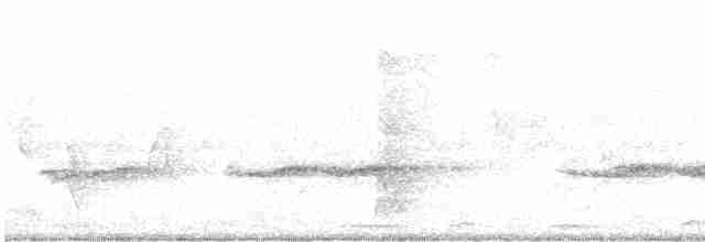 Gray-tailed Tattler - ML616927175