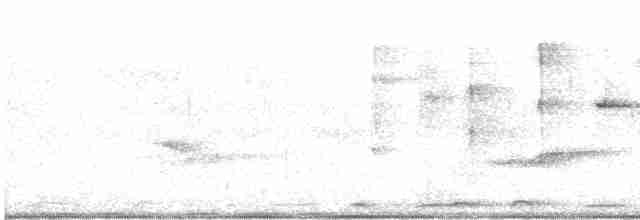 Мангровая веерохвостка - ML616927470