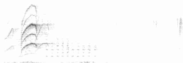 hvitskjegglattertrost - ML616928466