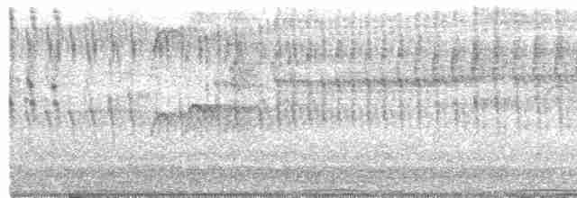 シロハラアマツバメ - ML616928541