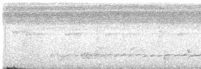 Акалат сіробровий - ML616928888