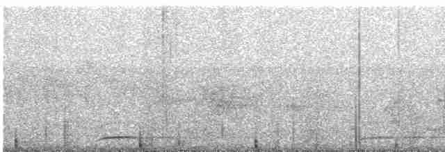 Chevêchette cuculoïde - ML616930522