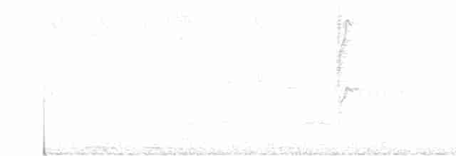 Common Chiffchaff - ML616930597