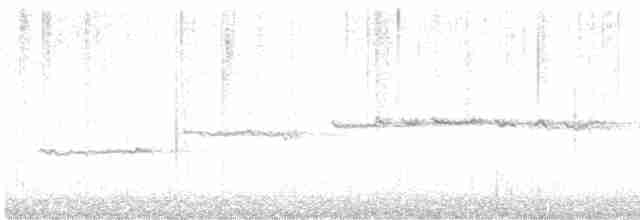 Белогорлая зонотрихия - ML616930732