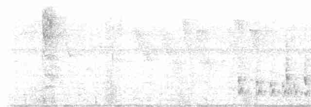 Graurücken-Dickichtschlüpfer - ML616932456
