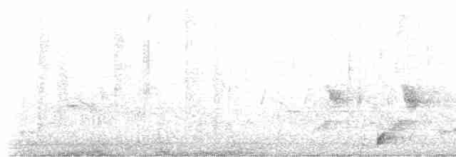 Дрізд-короткодзьоб плямистоволий - ML616934389