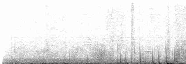 White-eyed Parakeet - ML616934657