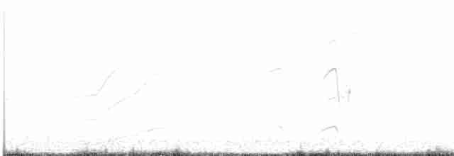 Чайка чубата - ML616935010