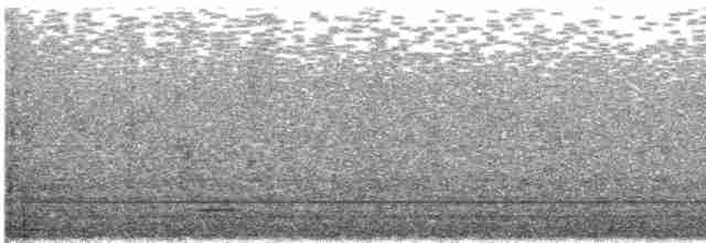 黃嘴角鴞 - ML616935330