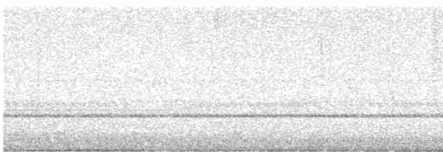 Сплюшка білогорла - ML616935836