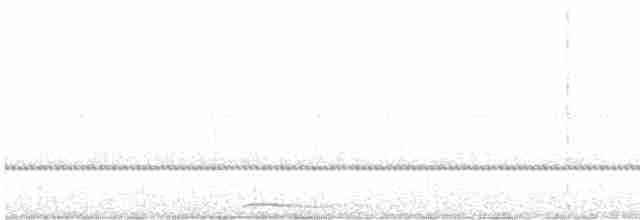 puštík bělonohý - ML616935839