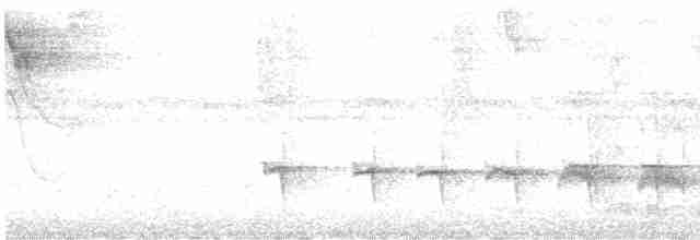 Мурав’янка-прудкокрил перуанська - ML616936430