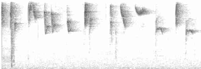 kullkronetanagar (auricularis) (svartkinntanagar) - ML616937266