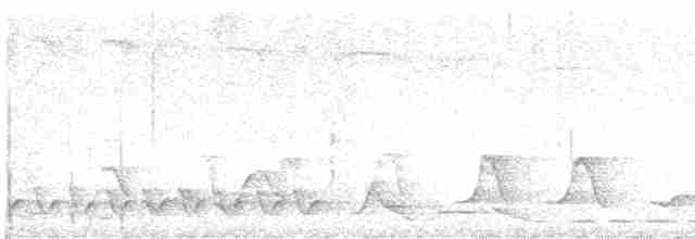 Поплітник рудоспинний (підвид schulenbergi) - ML616937440