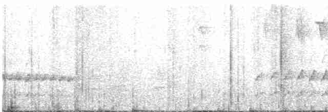 Mérulaxe de Spillmann - ML616938003