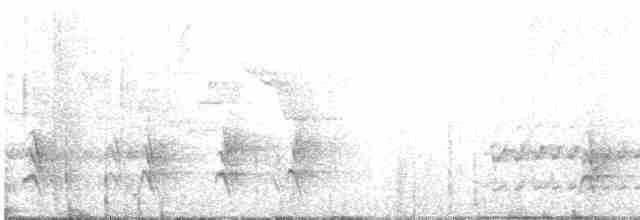 Mérulaxe de Spillmann - ML616938055