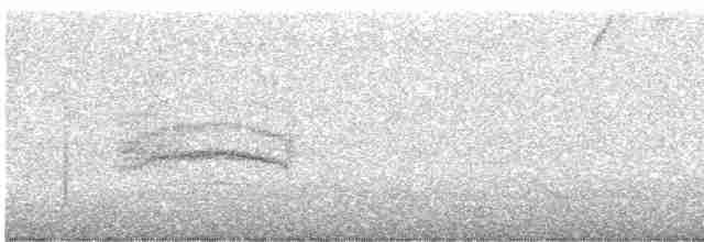 Gri Sırtlı Bülbül Ardıcı - ML616938609