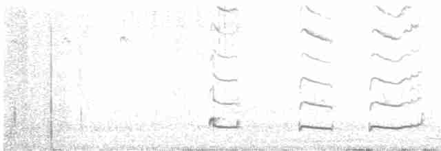 Grallaire d'Atuen - ML616938630