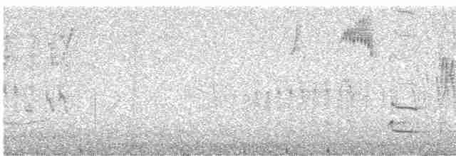 Grallaire d'Atuen - ML616938635
