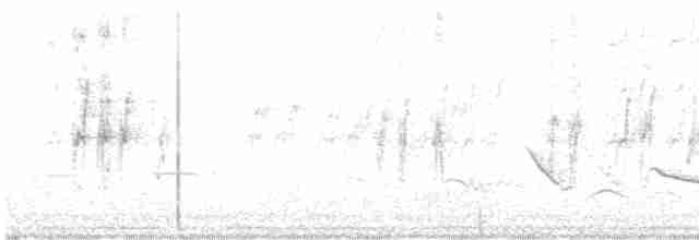 Желтолицый воробьиный попугайчик - ML616939542