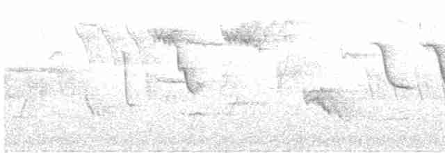 Гаїчка-пухляк звичайна [група montanus] - ML616939559