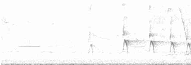 Graunacken-Bündelnister - ML616939784