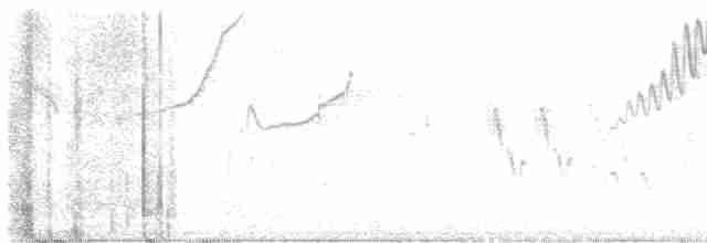 Серокрылая пизарита-инка - ML616939851
