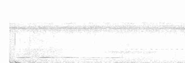 Trogon à queue blanche - ML616940973