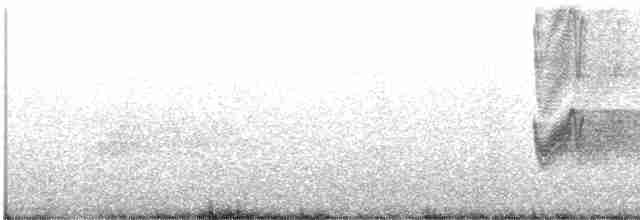 Savannennachtschwalbe [monticolus-Gruppe] - ML616941094