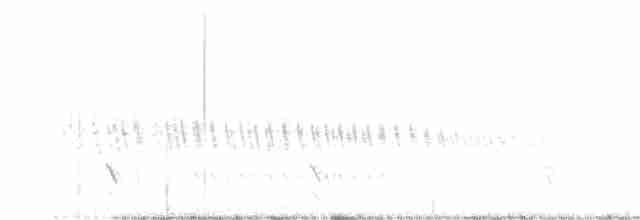 Желтогорлая пищуховая иглохвостка - ML616941342