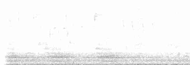 Юнко сірий [група oreganus] - ML616943655