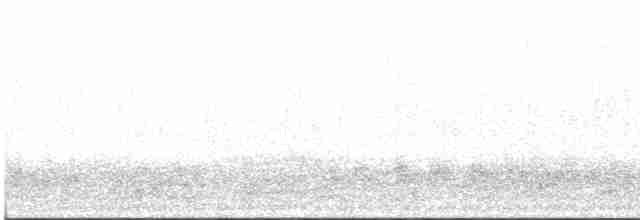 Baillon's Crake - ML616944137