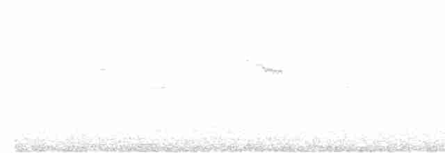 Common Kingfisher - ML616944211